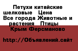 Петухи китайские шелковые › Цена ­ 1 000 - Все города Животные и растения » Птицы   . Крым,Ферсманово